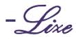 LIZE Electronic logo