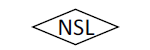 Naina Semiconductor logo