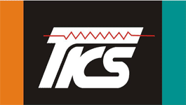 Thinking Electronic logo