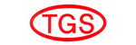 Tiger Electronic logo