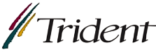 Trident Microsystems logo