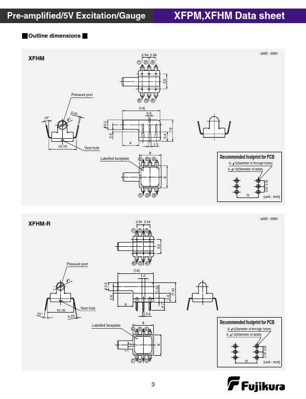 XFHM-100KPGH