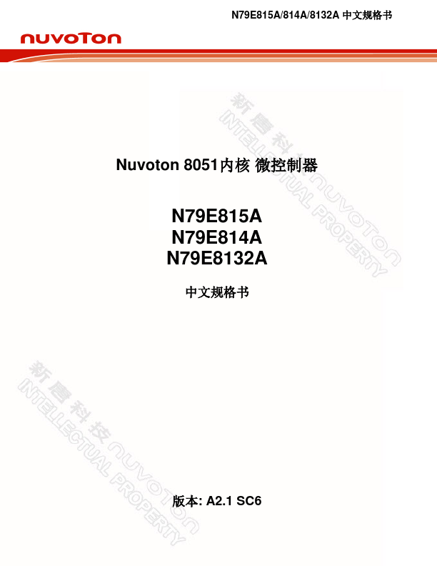 N79E8132A