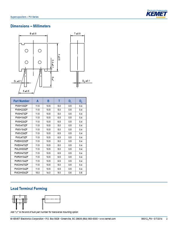 FM0V104ZF