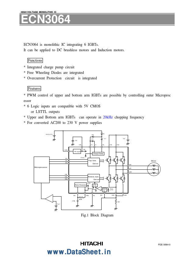 ECN3064