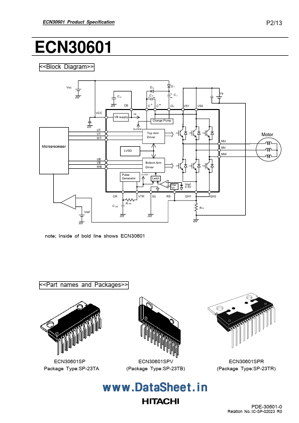 ECN30601