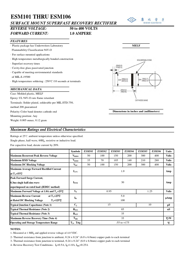 ESM101