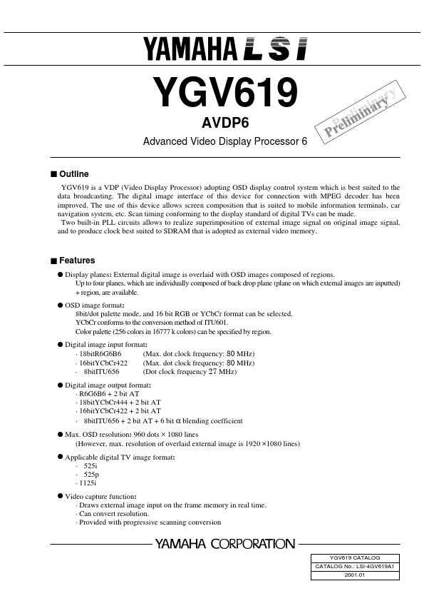 YGV619
