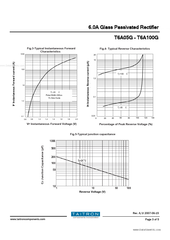 T6A100G