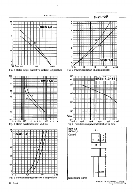 SKB101