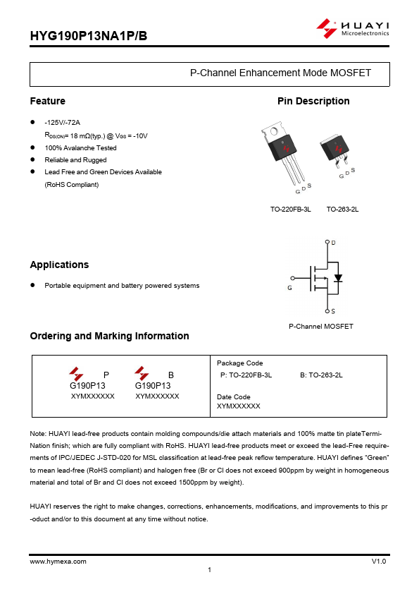 HYG190P13NA1P Datasheet Preview