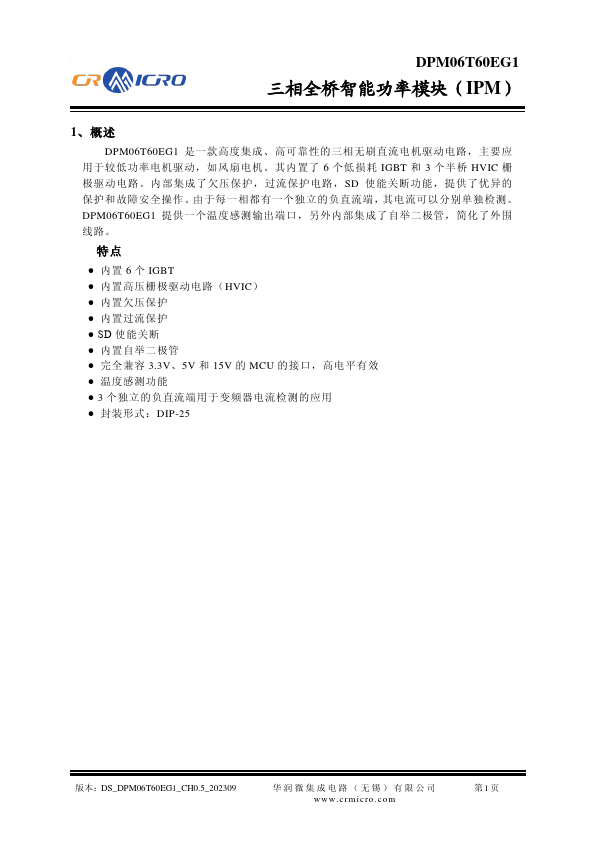 DPM06T60EG1 Datasheet Preview