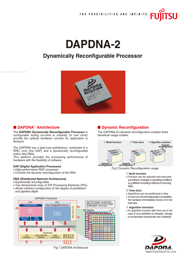 DAPDNA-2