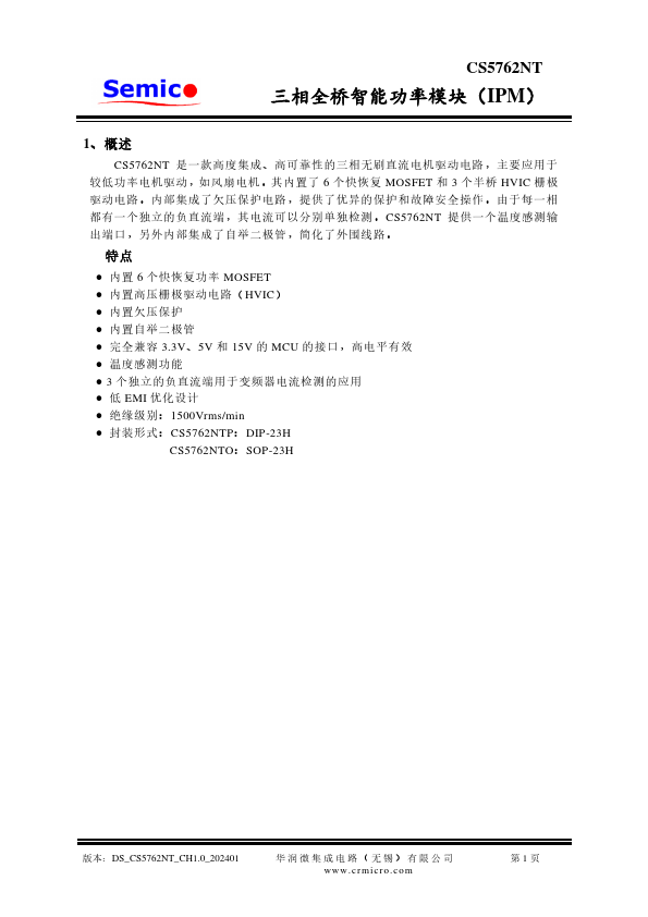 CS5762NT Datasheet Preview