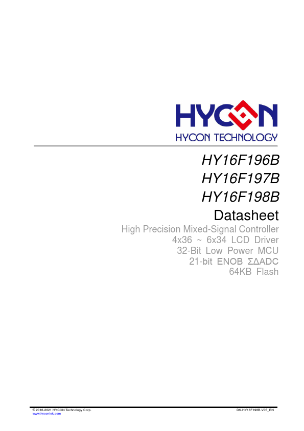 HY16F196B Datasheet Preview