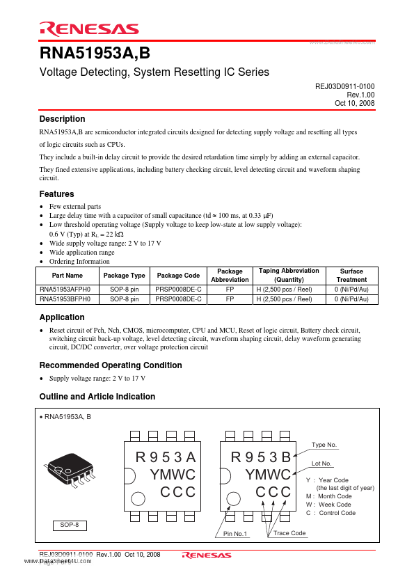 RNA51953A