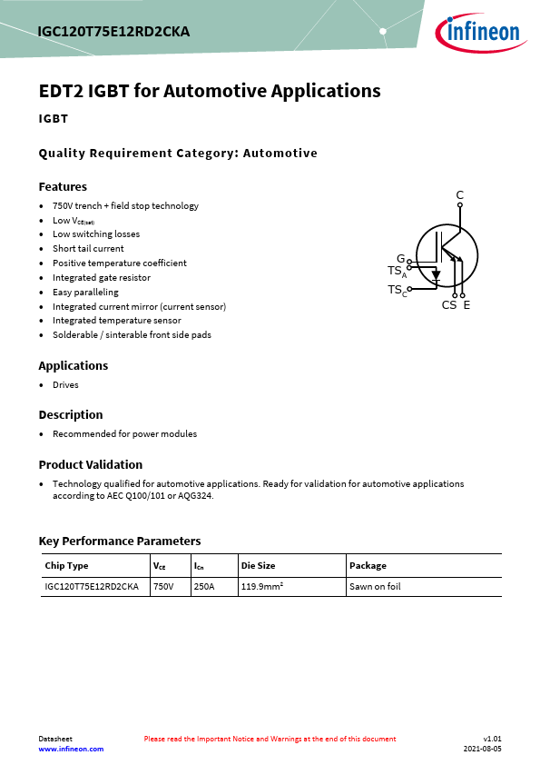 IGC120T75E12RD2CKA Datasheet Preview