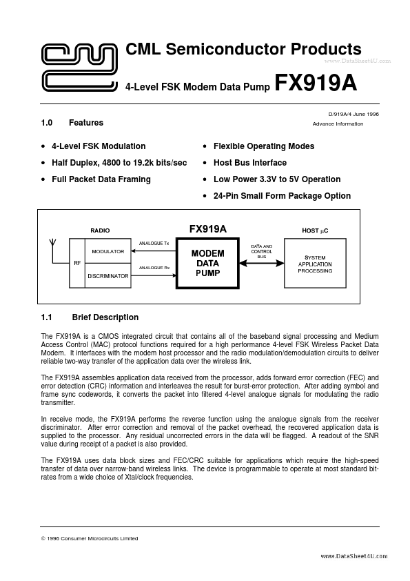 FX919A