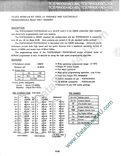 TC57H1001AD-100