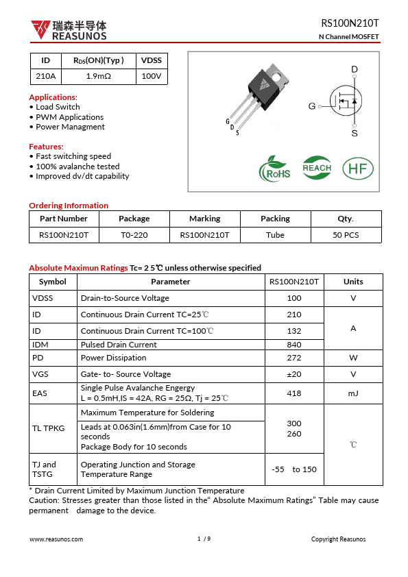 RS100N210T Datasheet Preview