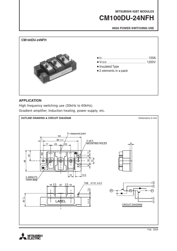 CM100DU-24NFH