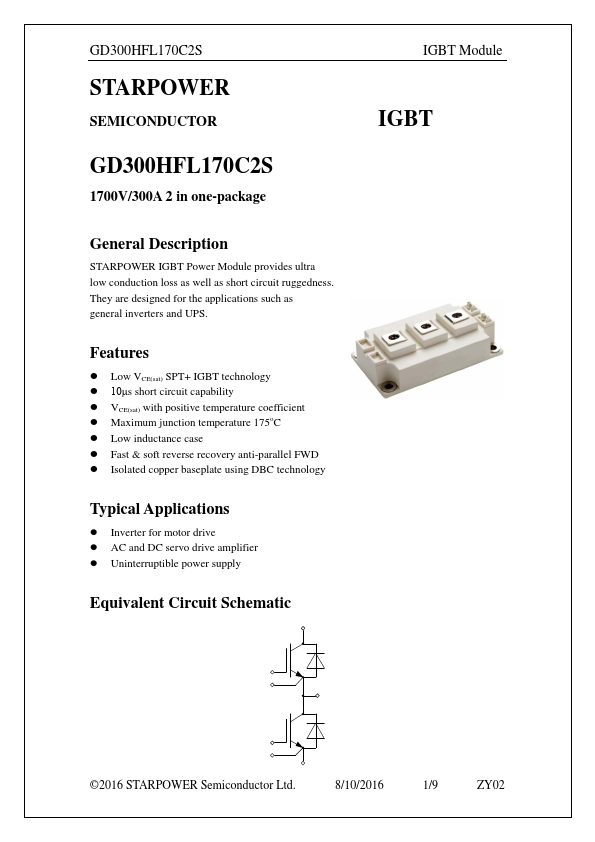 GD300HFL170C2S Datasheet Preview
