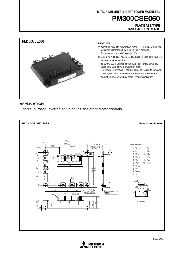 PM300CSE060