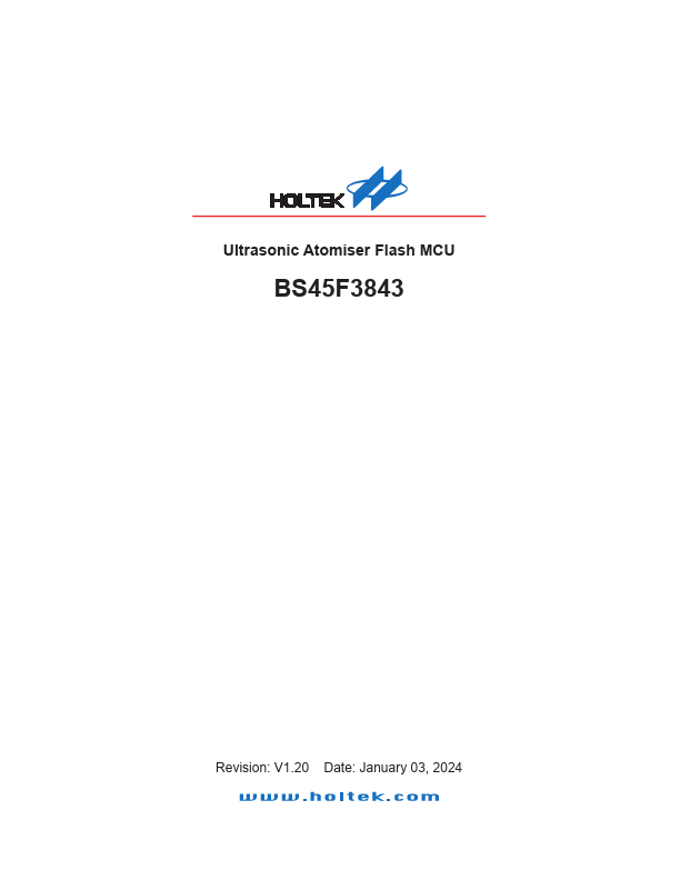 BS45F3843 Datasheet Preview