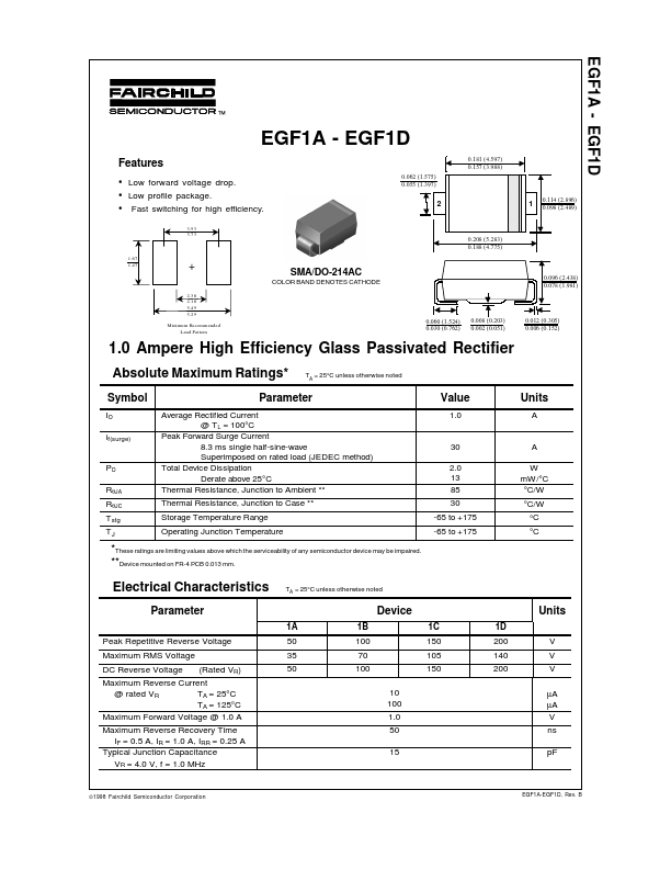 EGF1B