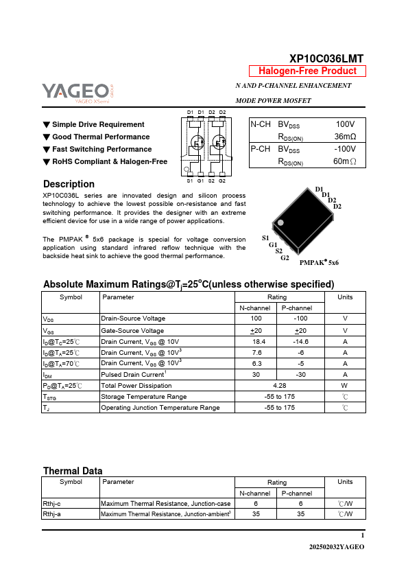 XP10C036LMT Datasheet Preview