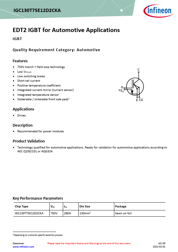IGC130T75E12D2CKA Datasheet Preview