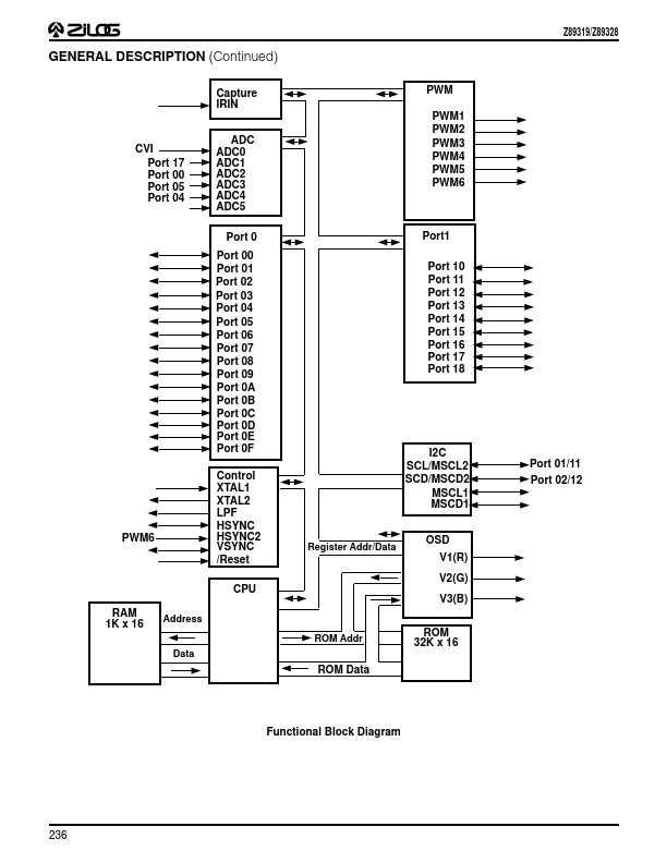 Z89319