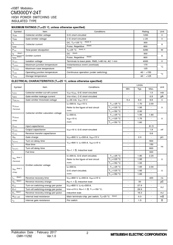 CM300DY-24T