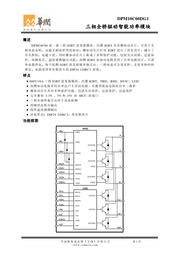 DPM10C60DG1 Datasheet Preview