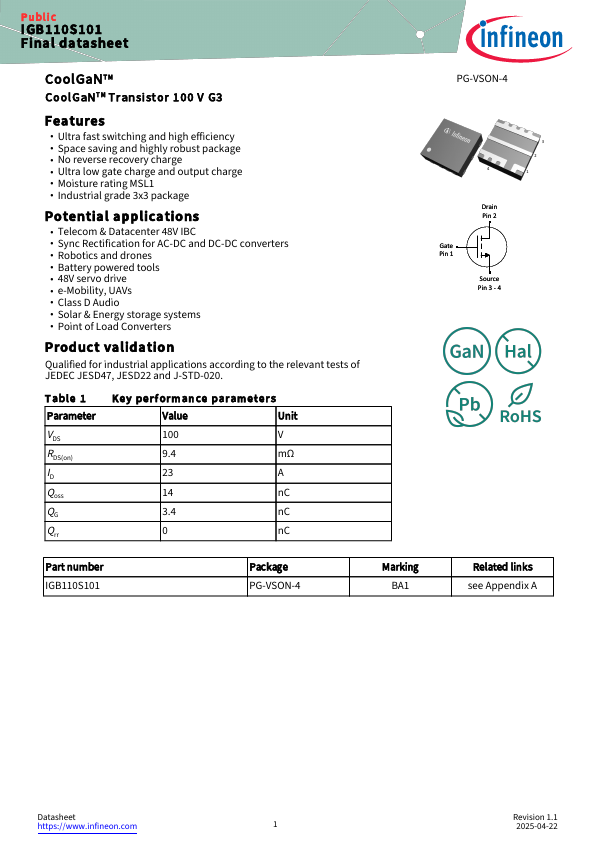 IGB110S101 Datasheet Preview