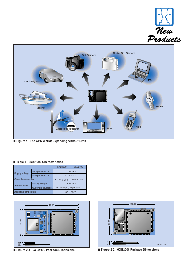 GXB2000