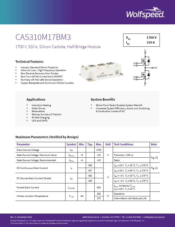 CAS310M17BM3