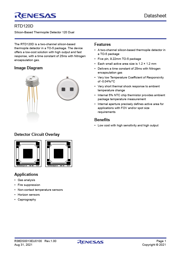 RTD120D Datasheet Preview