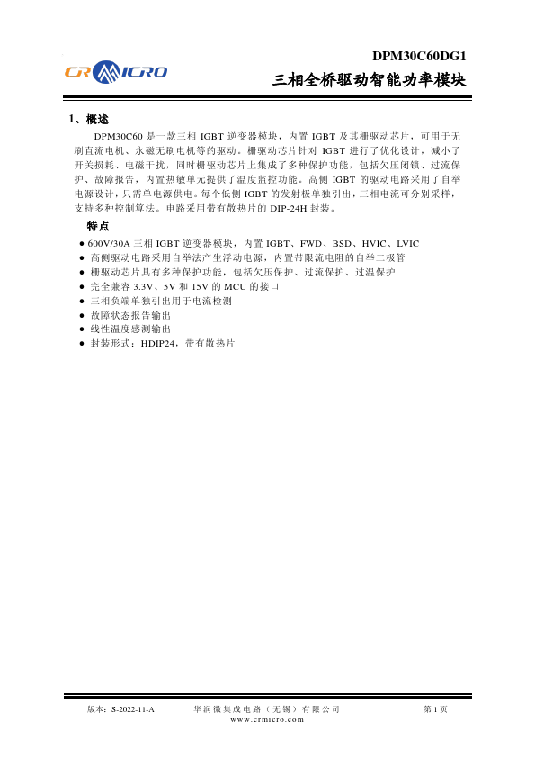 DPM30C60DG1 Datasheet Preview